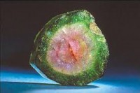 /album/fotogaleria-novinky/stiahnut-4-jpg/